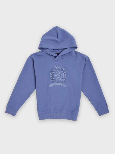 Boys Full Sleeve Embroidered Hooded Sweatshirt