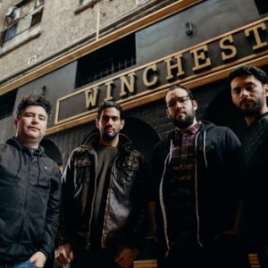 Jackets / Pullovers / Hoodies Men